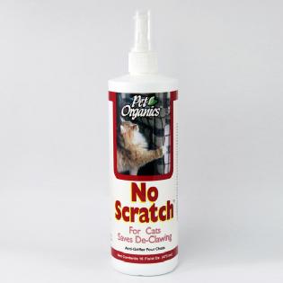 No Scratch For Cats